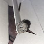 Gray Bumblebee Close up