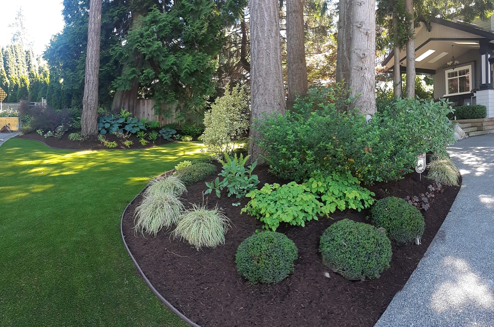 Plant Spacing